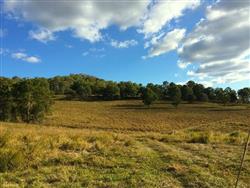 1,000 acres of Opportunity image